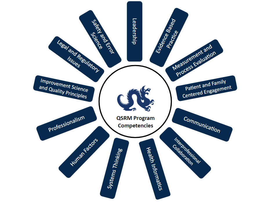 QSRM Program Competency Wheel